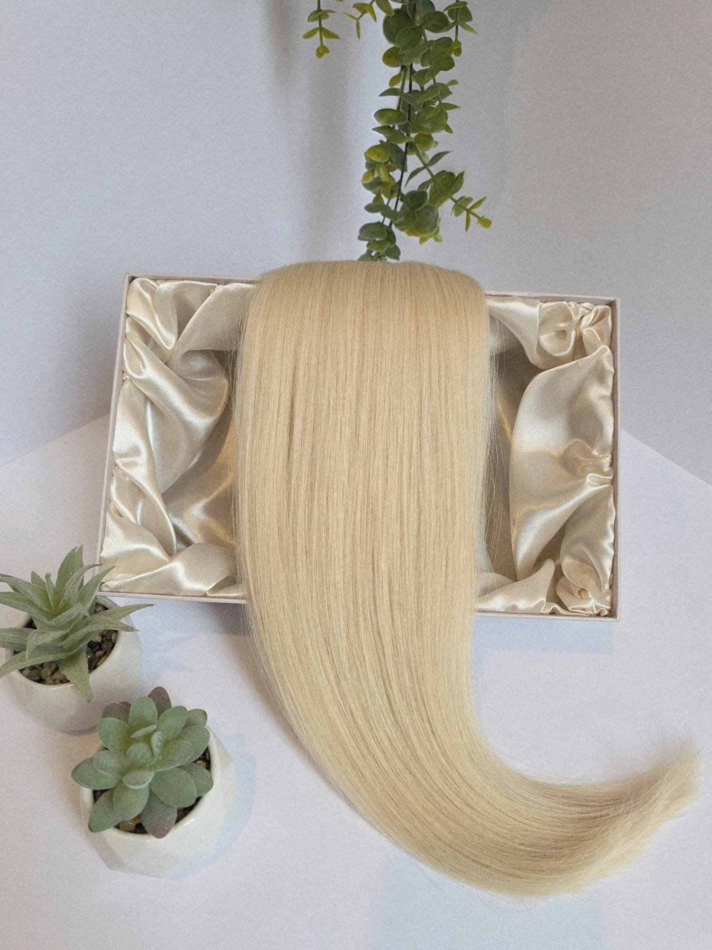 Beverley Hills Blonde